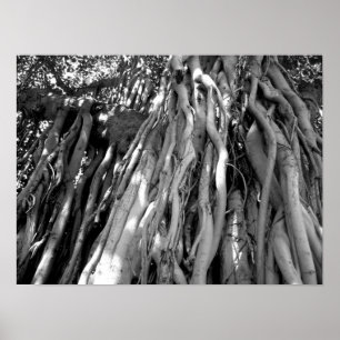 Poster Banyan