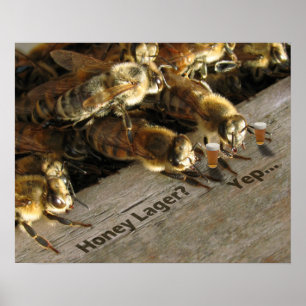Póster Bar Bees_Honey Lager?
