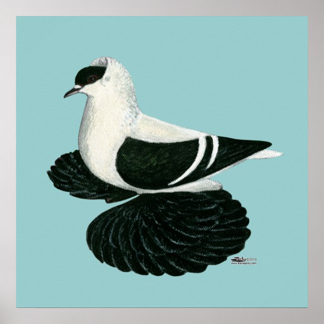 Póster Bar Branco Negro Swallow Pigeon Saxon (Frente)