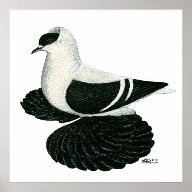 Póster Bar Branco Negro Swallow Pigeon Saxon (Frente)