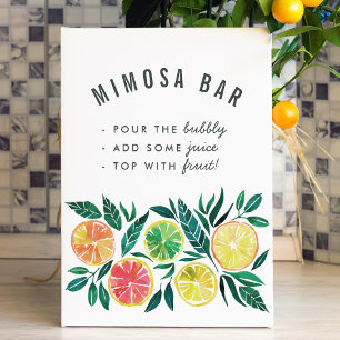 Poster Bar Citrus Mimosa - Sinal do Partido Bebidas Cockt
