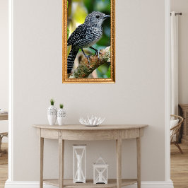 Poster Bar-crested antshrike