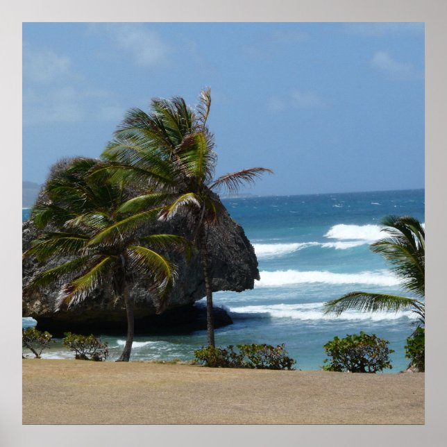 Póster Barbados Beauty (Frente)