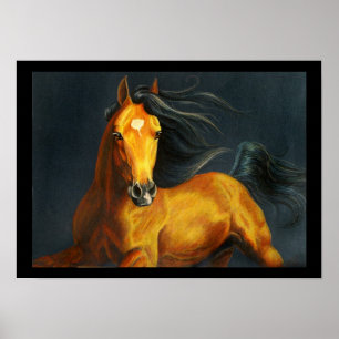 Poster Barbaro