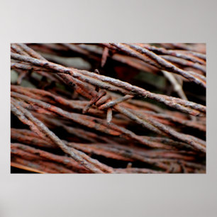 Póster Barbed Wire
