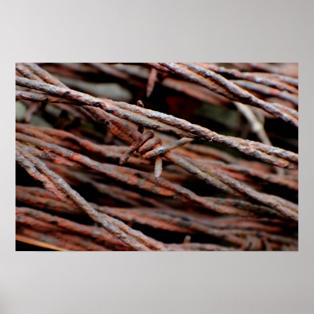 Póster Barbed Wire (Frente)