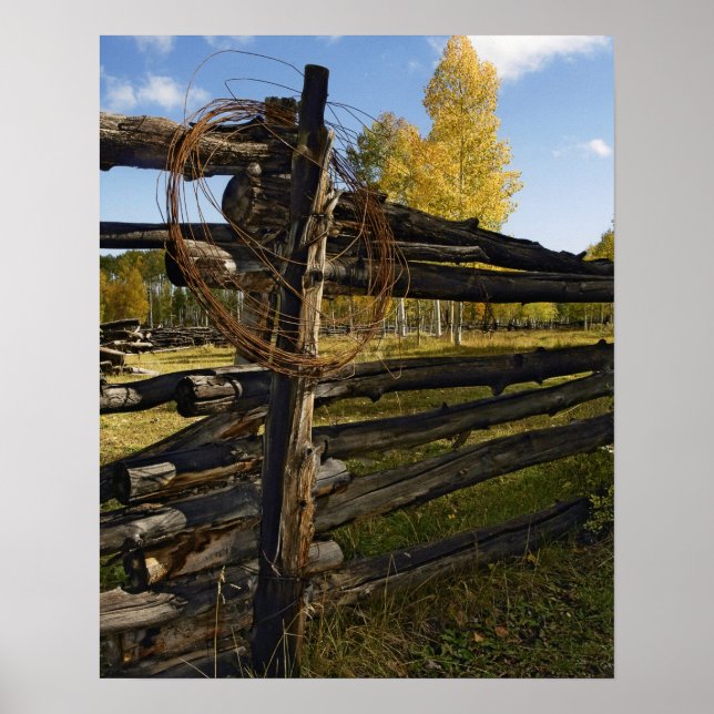 Póster Barbed Wire (Frente)