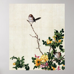 Poster Barberry Amarela e Peixe com Peony Fine Art