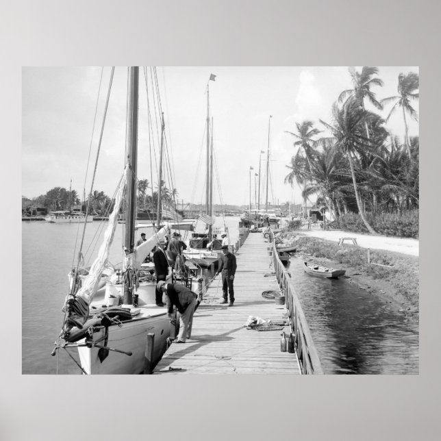 Poster Barcos à vela Miami, 1905 (Frente)