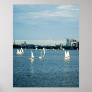 Póster Barcos à vela num rio, Charles River, Boston, 2