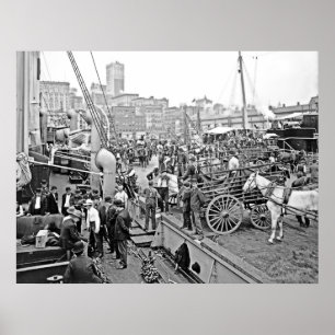 Póster Barcos de banana de Baltimore