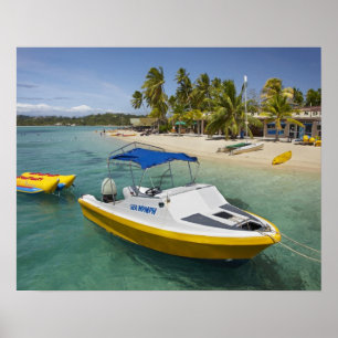 Póster Barcos elétricos e bananas