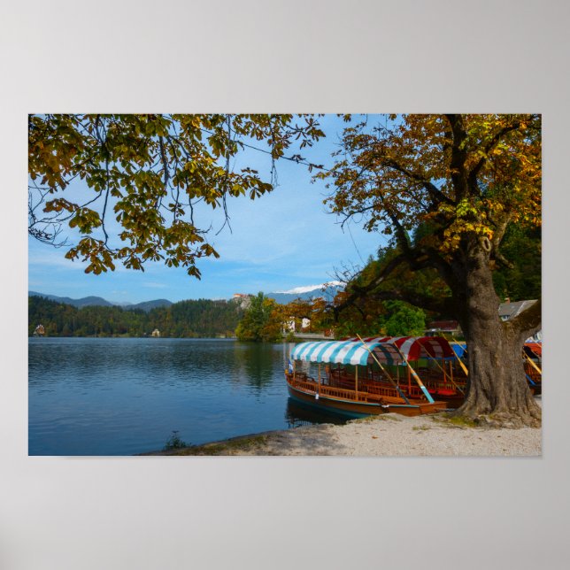 Poster Barcos turísticos no lago Bled no outono (Frente)