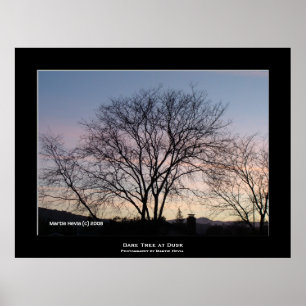 Póster "Bare Tree at Dusk"
