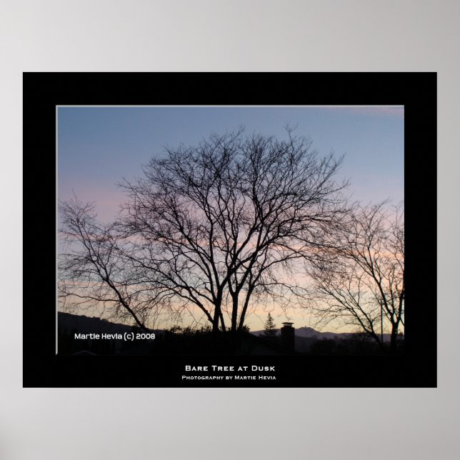 Póster "Bare Tree at Dusk" (Frente)