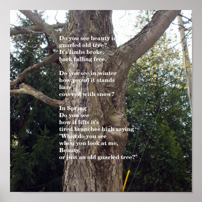 Póster Bare Tree Poem for Arbor Day (Frente)
