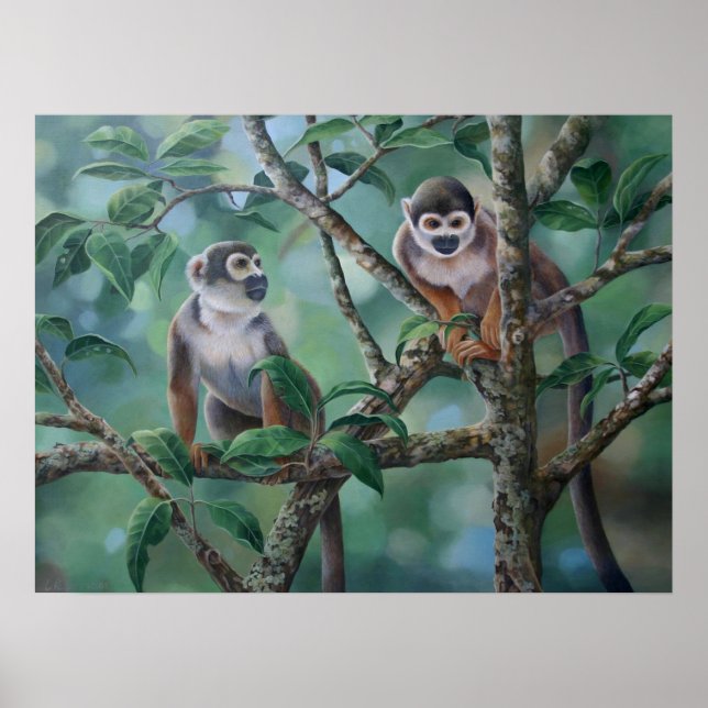 Póster "Bares de macacos" (Frente)