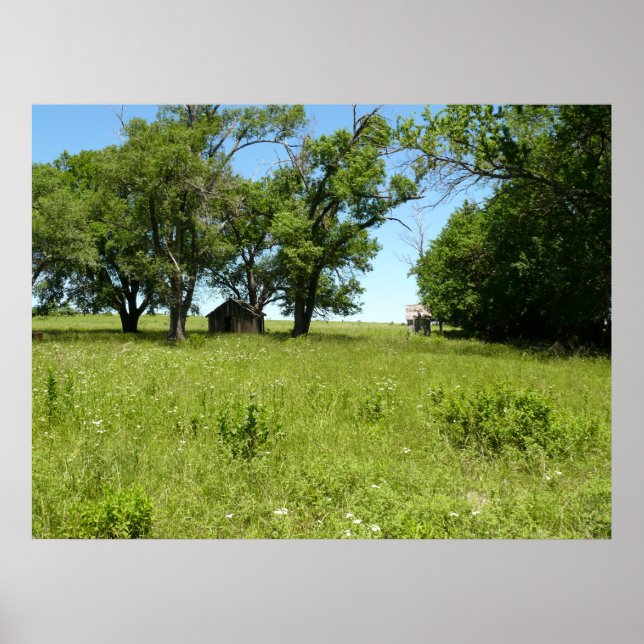 Póster Barn e Outhouse (Frente)