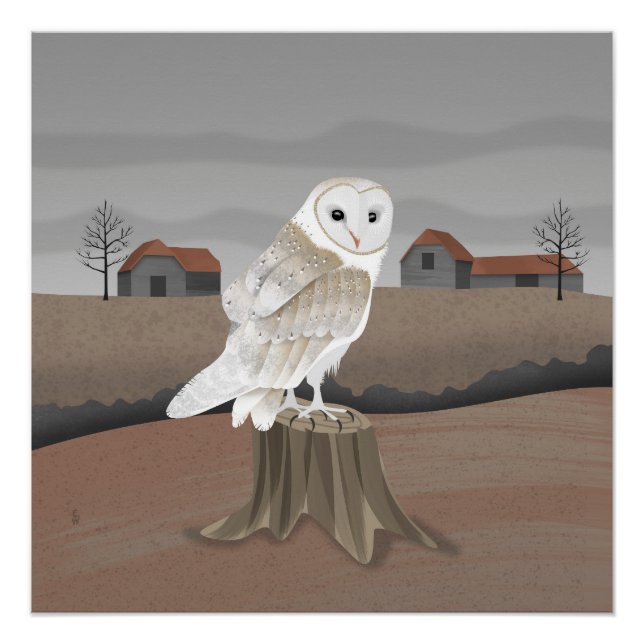 Póster Barn Owl (Frente)