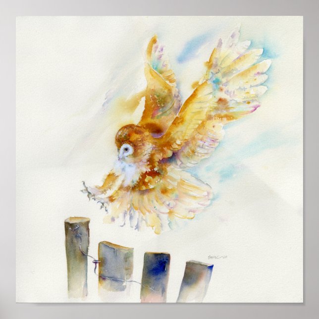 Póster Barn Owl (Frente)