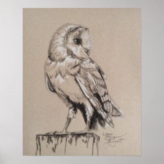 Poster Barn Owl