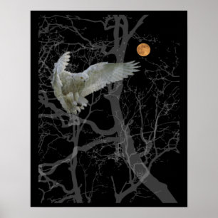Poster Barn Owl Poster, Texas Screech Owl, Símbolo de Wic