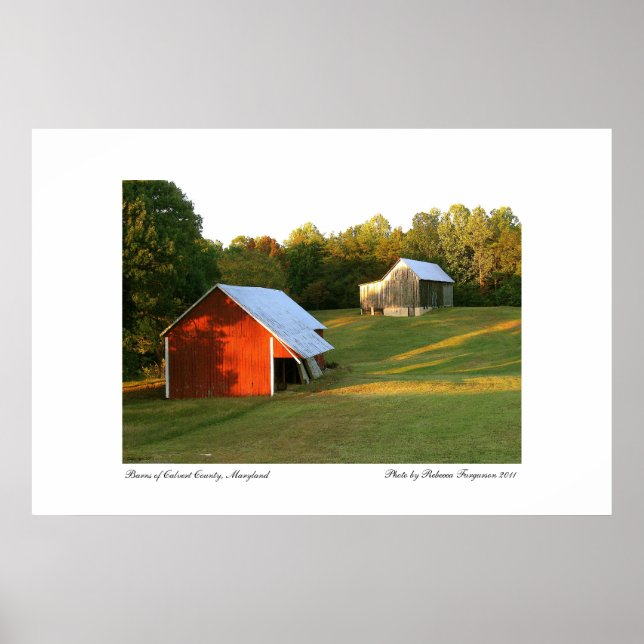 Poster Barns do Condado de Calvert, Maryland (Frente)