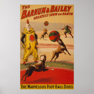 Póster Barnum & Bailey - cães maravilhosos do futebol