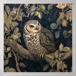 Poster Barred Owl em uma Floresta Noturna William Morris 