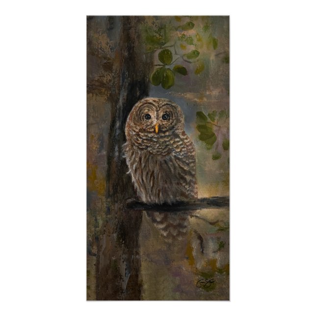Póster Barred Owl Painting 14 x 28 (Frente)