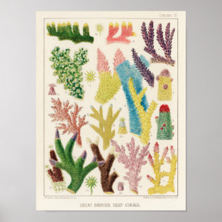 Poster Barreira de Recife do Excelente de Coral Vintage 1