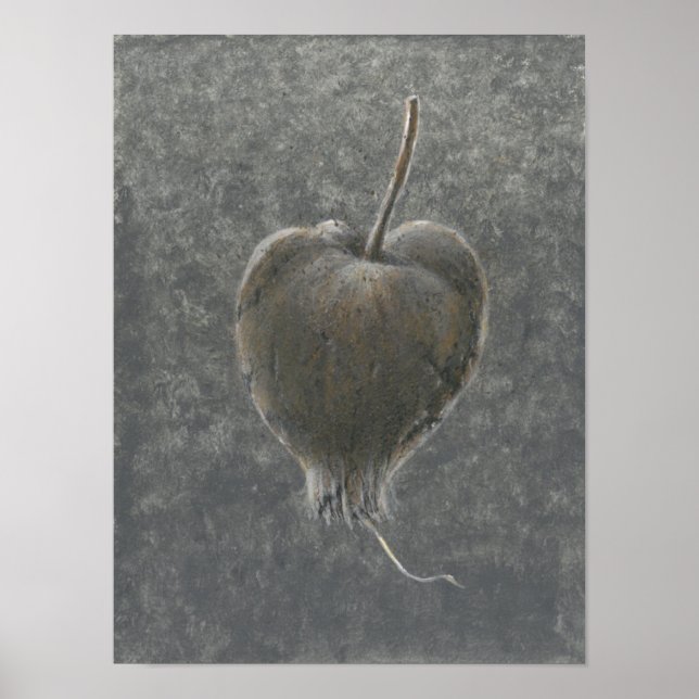 Poster Barringtonia Acutangula 2 (Frente)