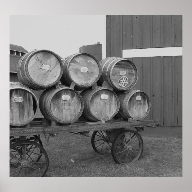 Poster Barris nº 1 (Frente)