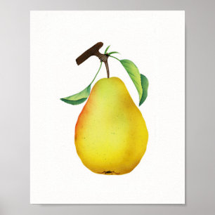 Poster Bartlett Juicy Pear Fruta Kitchen