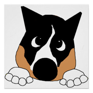 Póster basenji preto, bege e branco espiando