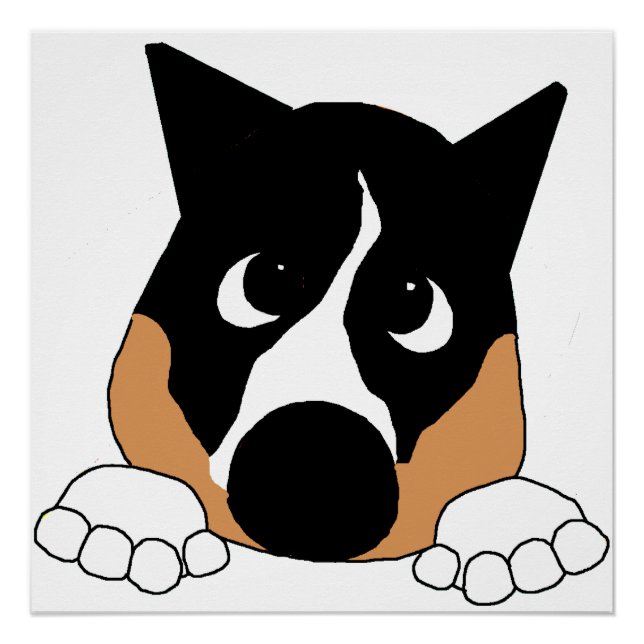 Póster basenji preto, bege e branco espiando (Frente)