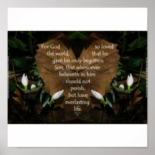 Poster básico da carteira do rei James do 3:16 de