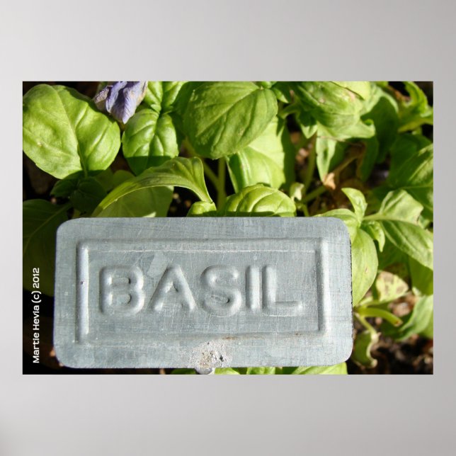 Póster Basil (Frente)