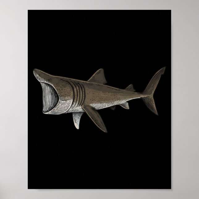 Poster Basking Shark (Frente)