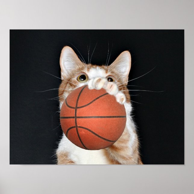 Póster Basquete de gato (Frente)