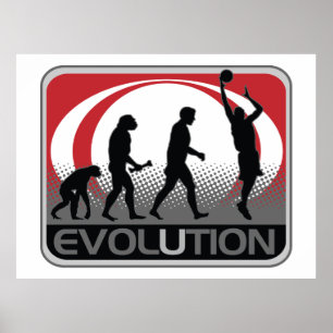 Poster Basquetebol da evolução