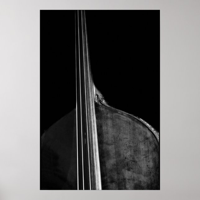 Poster Bass 5 Wapcna (Frente)