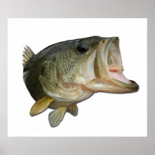 Poster Bass de Boca Largemouth