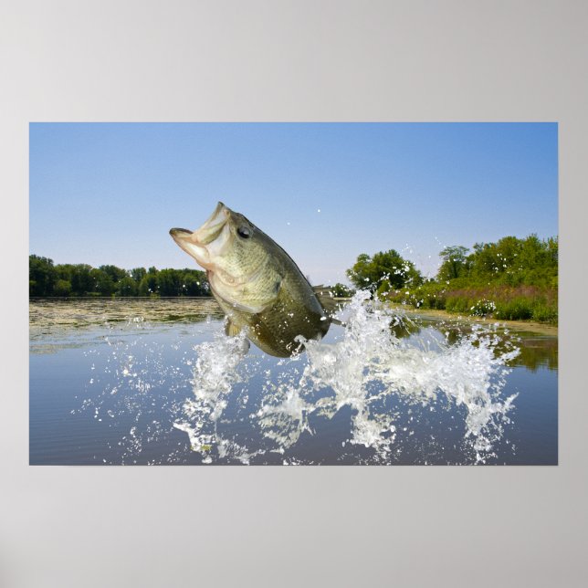 Póster Bass Jump 2013 (Frente)