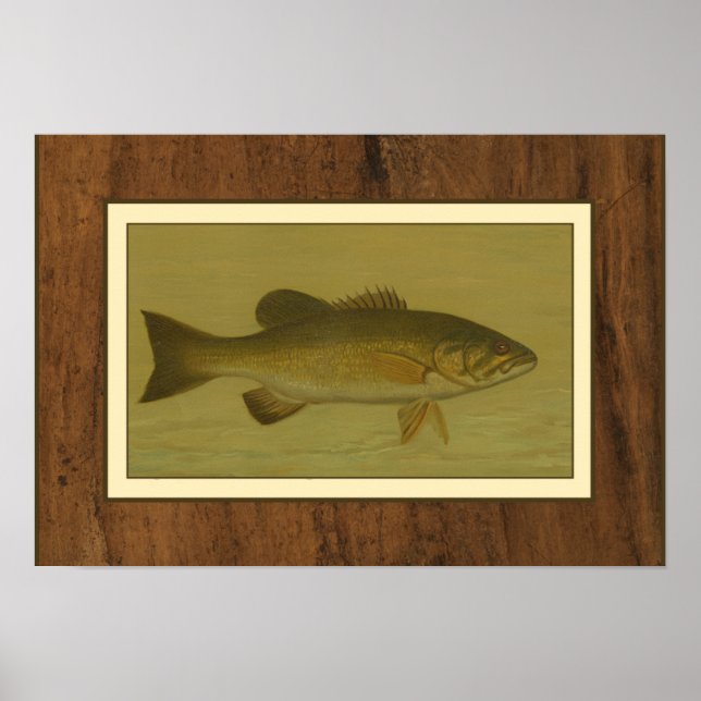 Poster Bass Preto em um Fundo Verde (Frente)