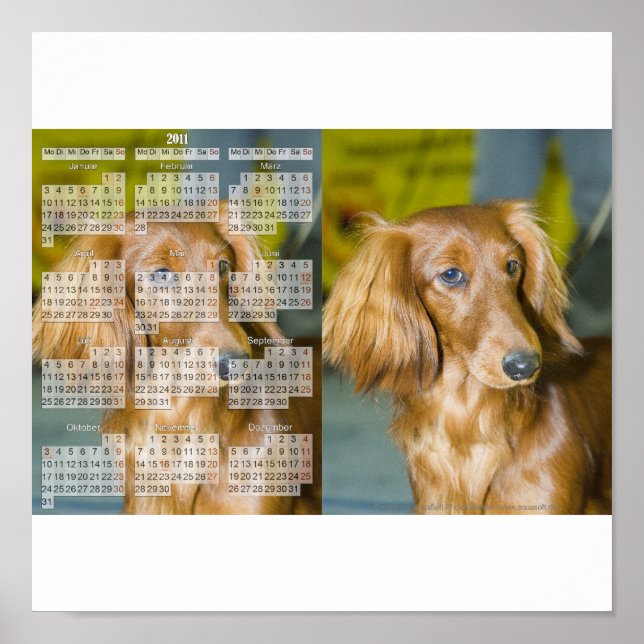 Póster Bassê calendário 2011 (Frente)