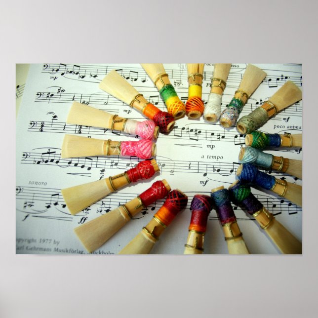 Póster Bassoon Reed Rainbow (Frente)