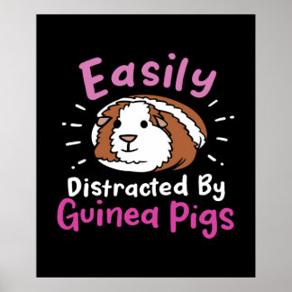 Poster Bastante Distraído Por Suínos Guiné | Pet-Lover