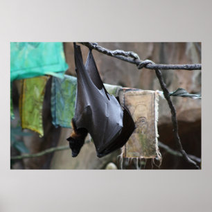 Póster Bastão (6) - poster/impressão