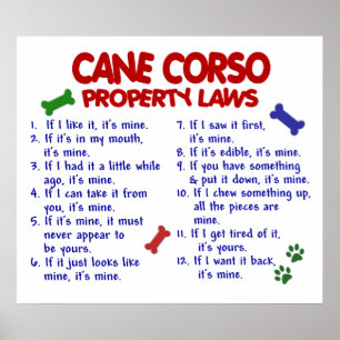 PÓSTER BASTÃO CORSO PL2